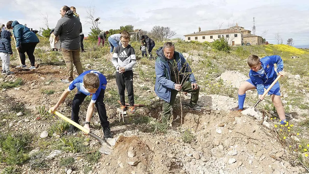 arguedas plantacion dia del arbol