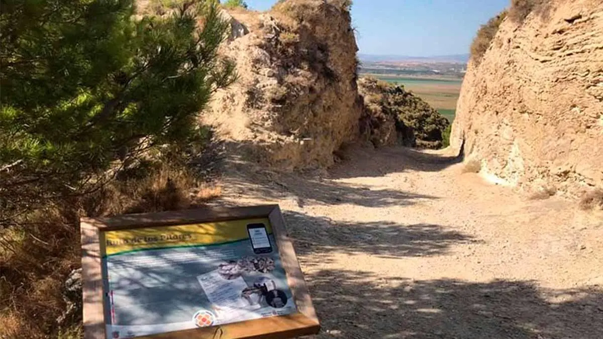 valtierra trail mirador de las bardenas