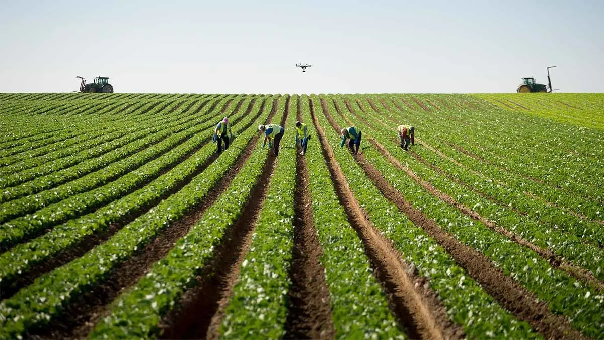 florette trabajadores