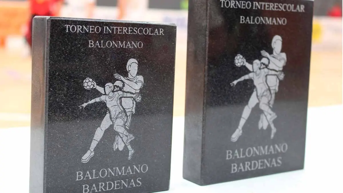 torneo interescolar balonmano bardenas (11)