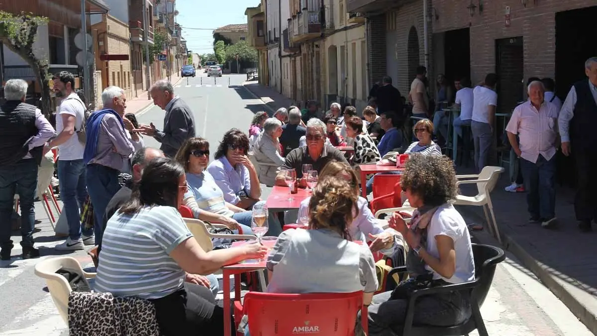 Fotos Día de las Asociaciones de Milagro 2025 (15)