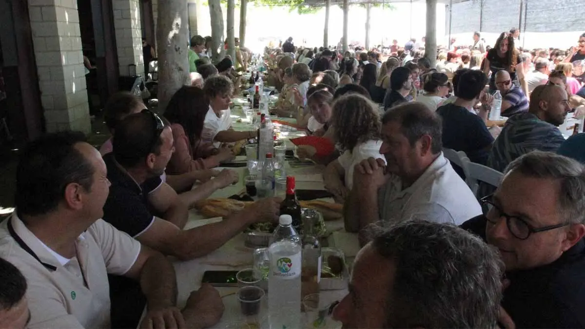 Fiestas de Primavera Cabanillas 2025 (26)