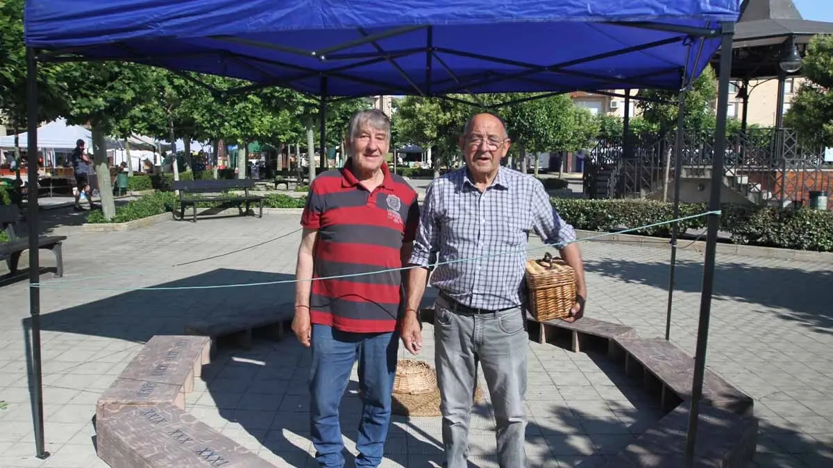 Día del Tomate Rosa de Cortes 2025 (11)