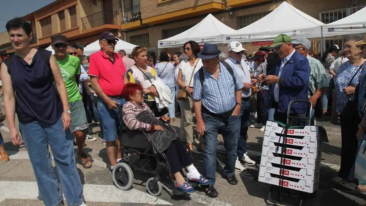 Fotos Fiesta de la Cereza de Milagro 2025 (9)