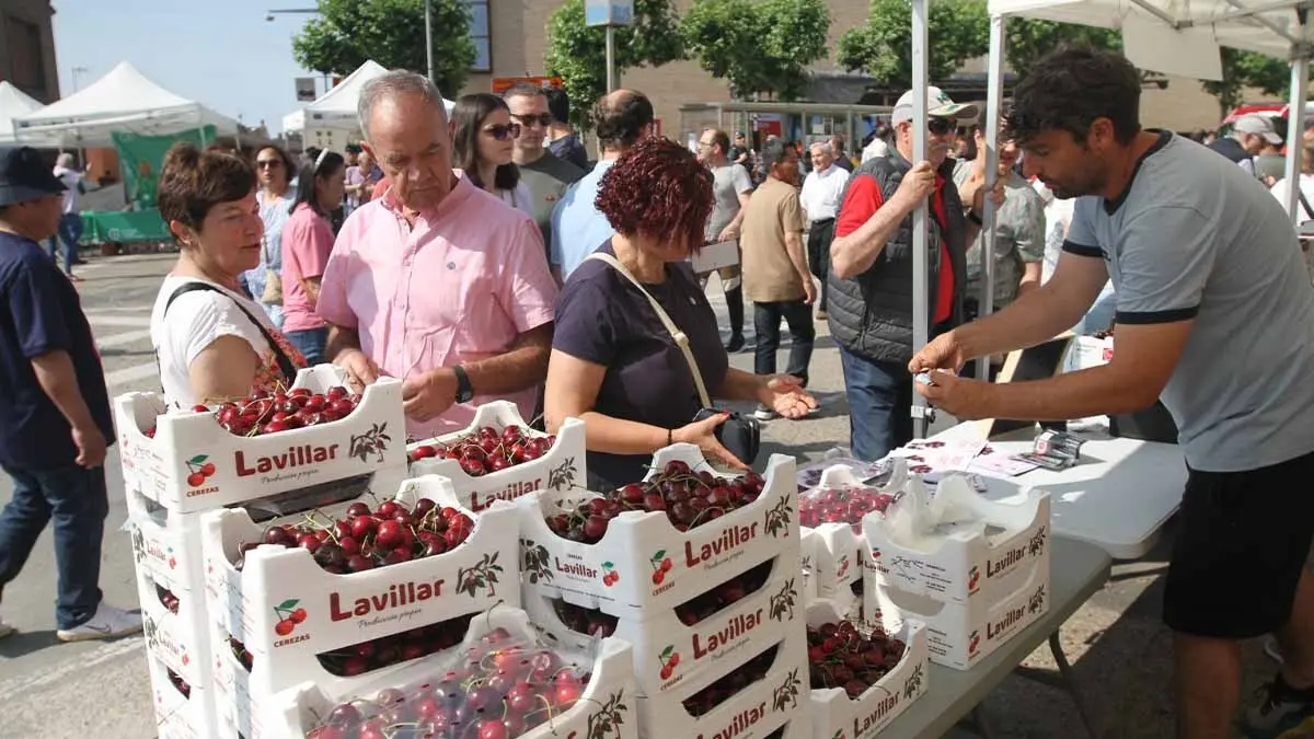 Fotos Fiesta de la Cereza de Milagro 2025 (14)