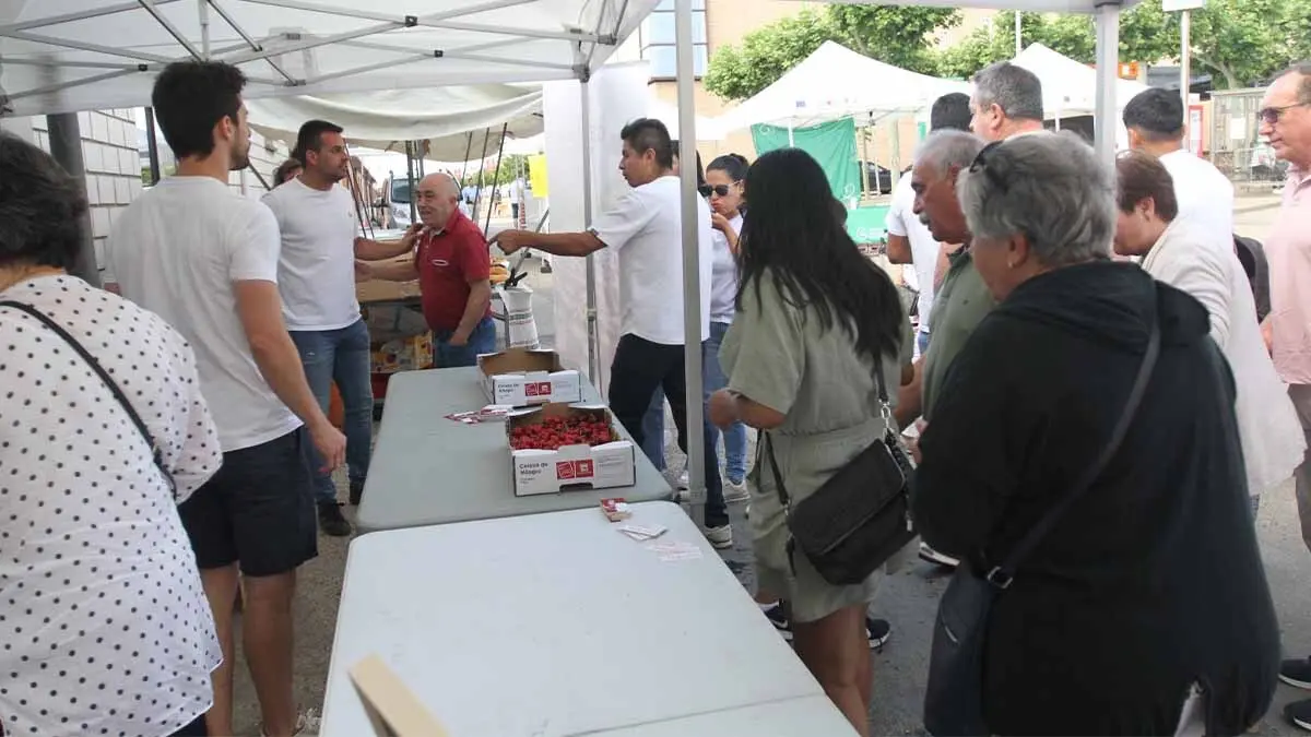 Fotos Fiesta de la Cereza de Milagro 2025 (30)