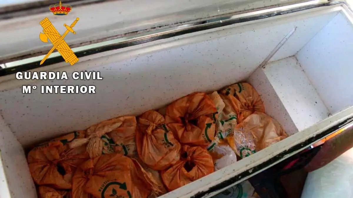 Fotos de la operación en Tudela contra un grupo criminal que falsificaba conservas de pimientos del cristal (5)
