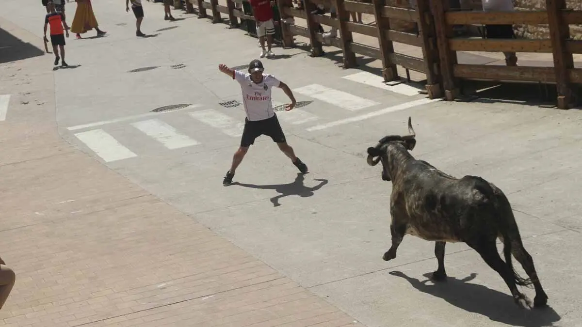 San Juan en Cortes -Trashumancia y vacas- 23-6-25 (5)