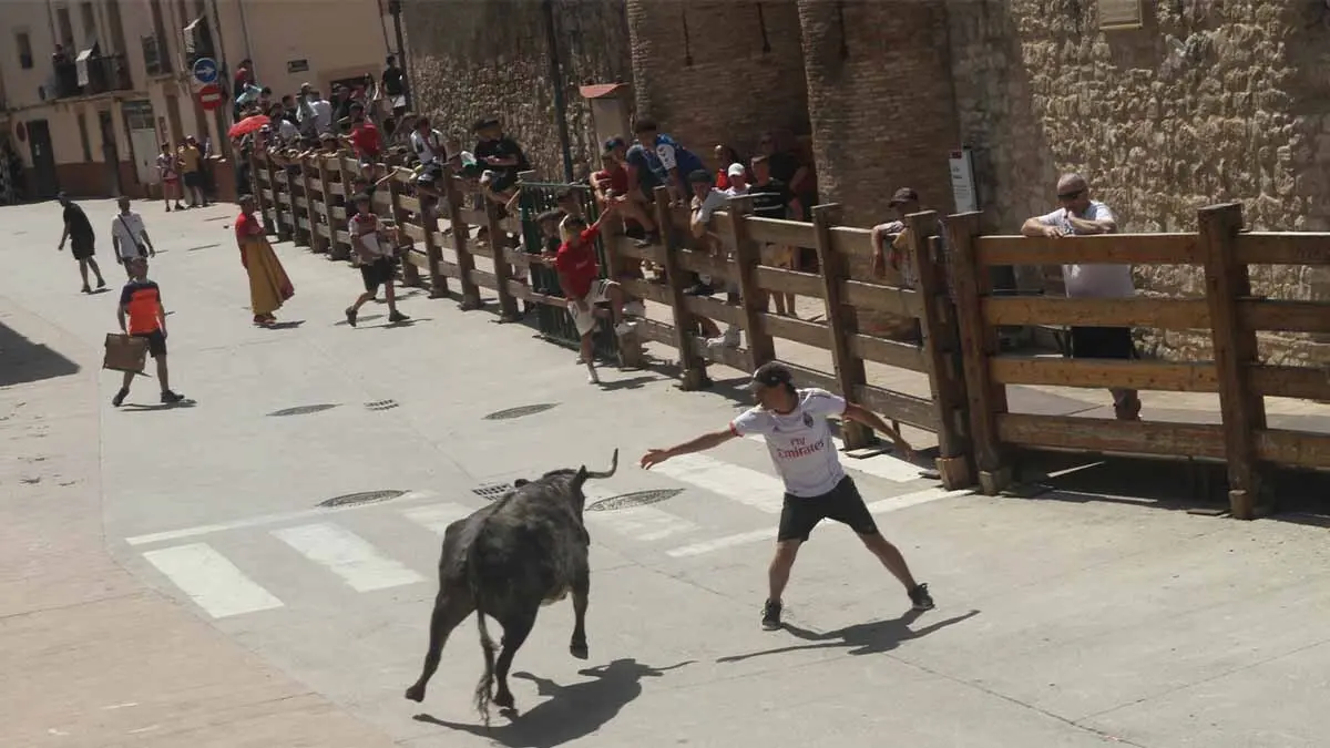 San Juan en Cortes -Trashumancia y vacas- 23-6-25 (8)