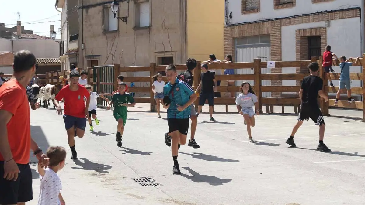 San Juan en Cortes -Trashumancia y vacas- 23-6-25 (29)