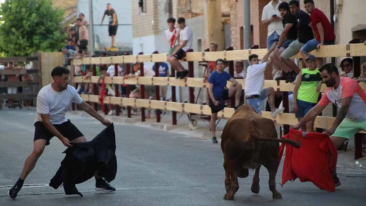 Fiesta de la Juventud de Murchante 2025 (2)