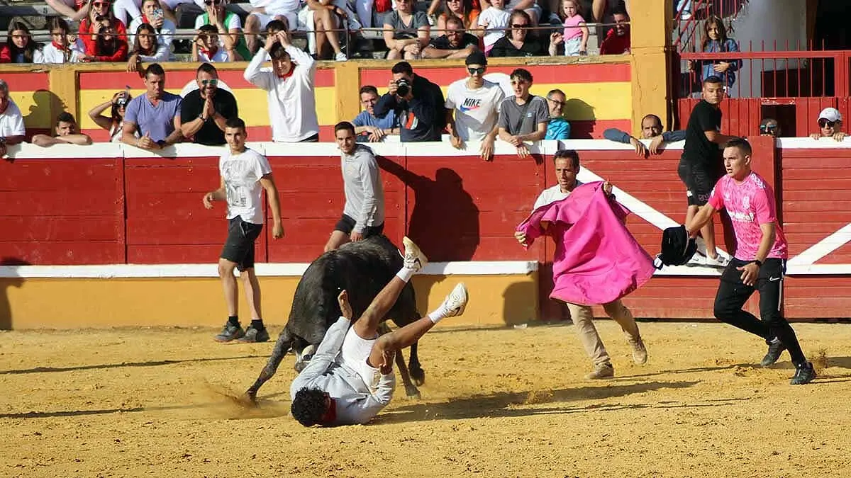 tensión y revolcones en las vaquillas de Tudela (1)