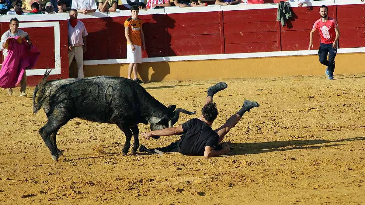 tensión y revolcones en las vaquillas de Tudela (2)