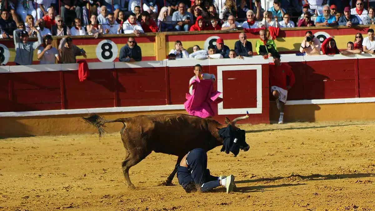 tensión y revolcones en las vaquillas de Tudela (3)