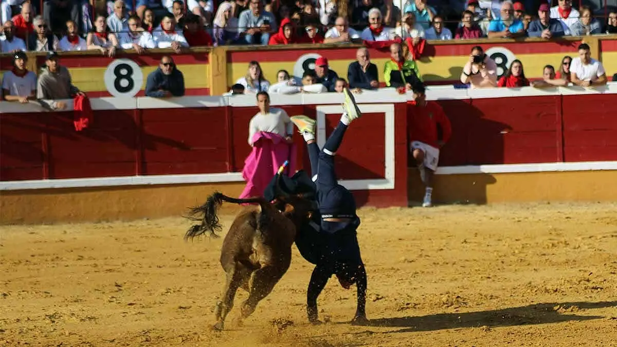 tensión y revolcones en las vaquillas de Tudela (4)
