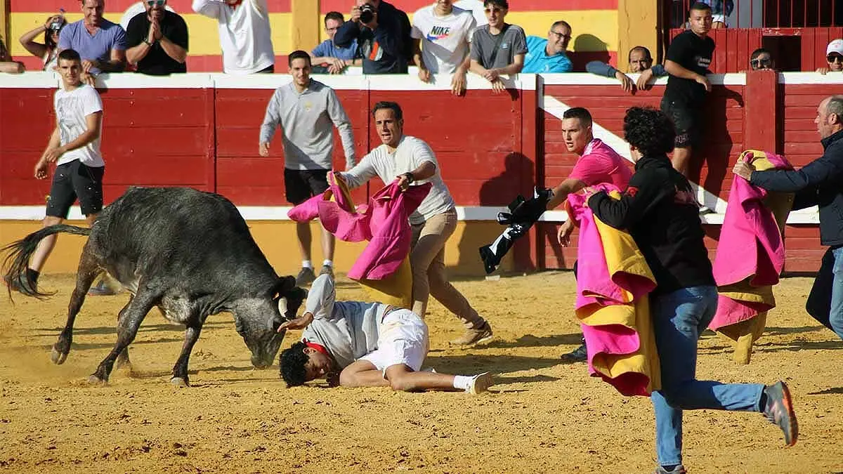 tensión y revolcones en las vaquillas de Tudela (5)