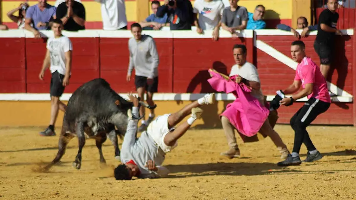 tensión y revolcones en las vaquillas de Tudela (7)