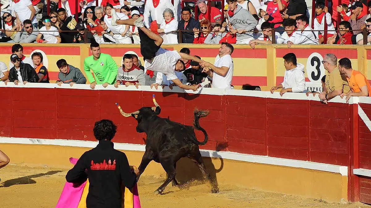 tensión y revolcones en las vaquillas de Tudela (8)