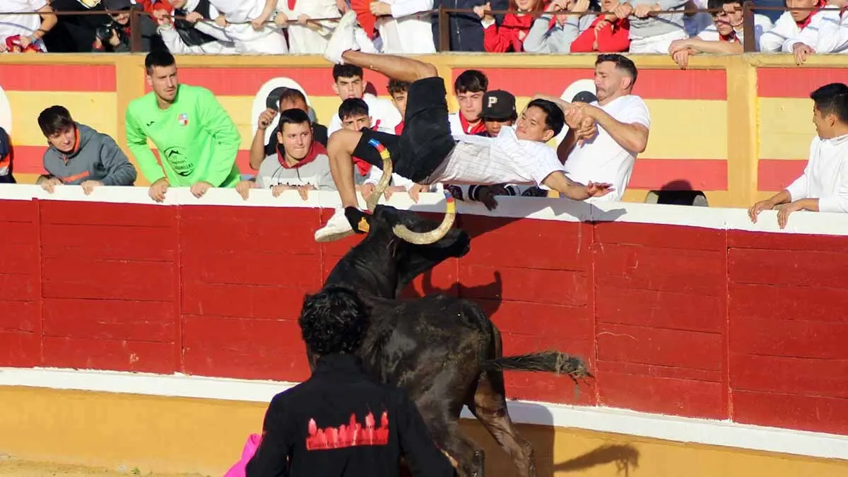tensión y revolcones en las vaquillas de Tudela (9)