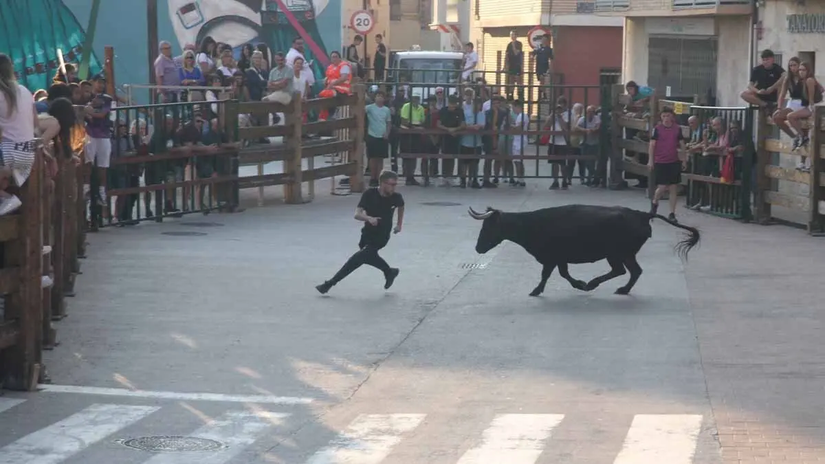 Almuerzo, vacas y toricos simulados en las Juventudes de Cortes 2025 (20)
