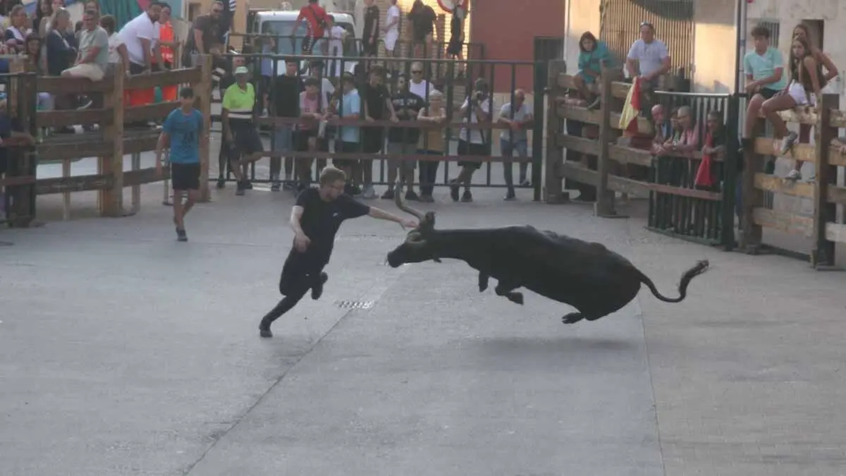 Almuerzo, vacas y toricos simulados en las Juventudes de Cortes 2025 (21)