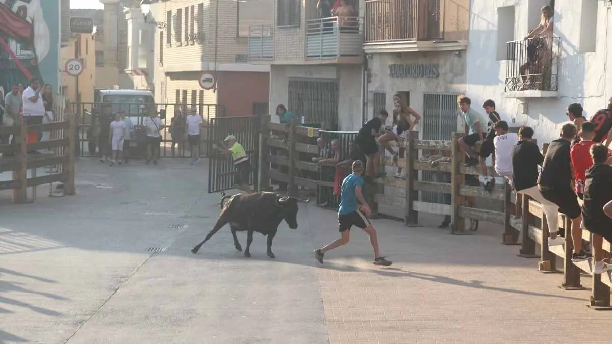 Almuerzo, vacas y toricos simulados en las Juventudes de Cortes 2025 (28)