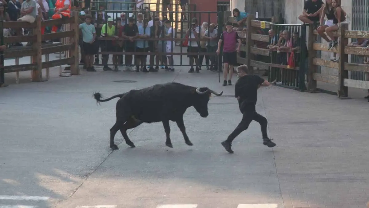 Almuerzo, vacas y toricos simulados en las Juventudes de Cortes 2025 (32)