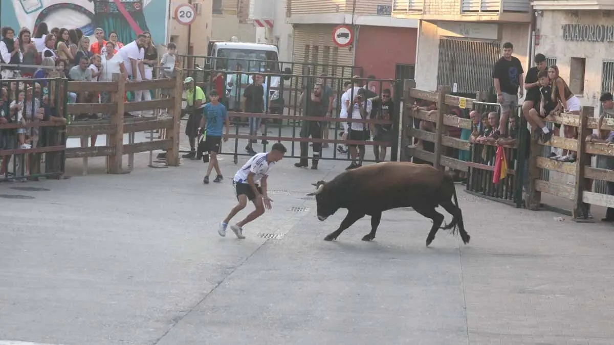 Almuerzo, vacas y toricos simulados en las Juventudes de Cortes 2025 (36)