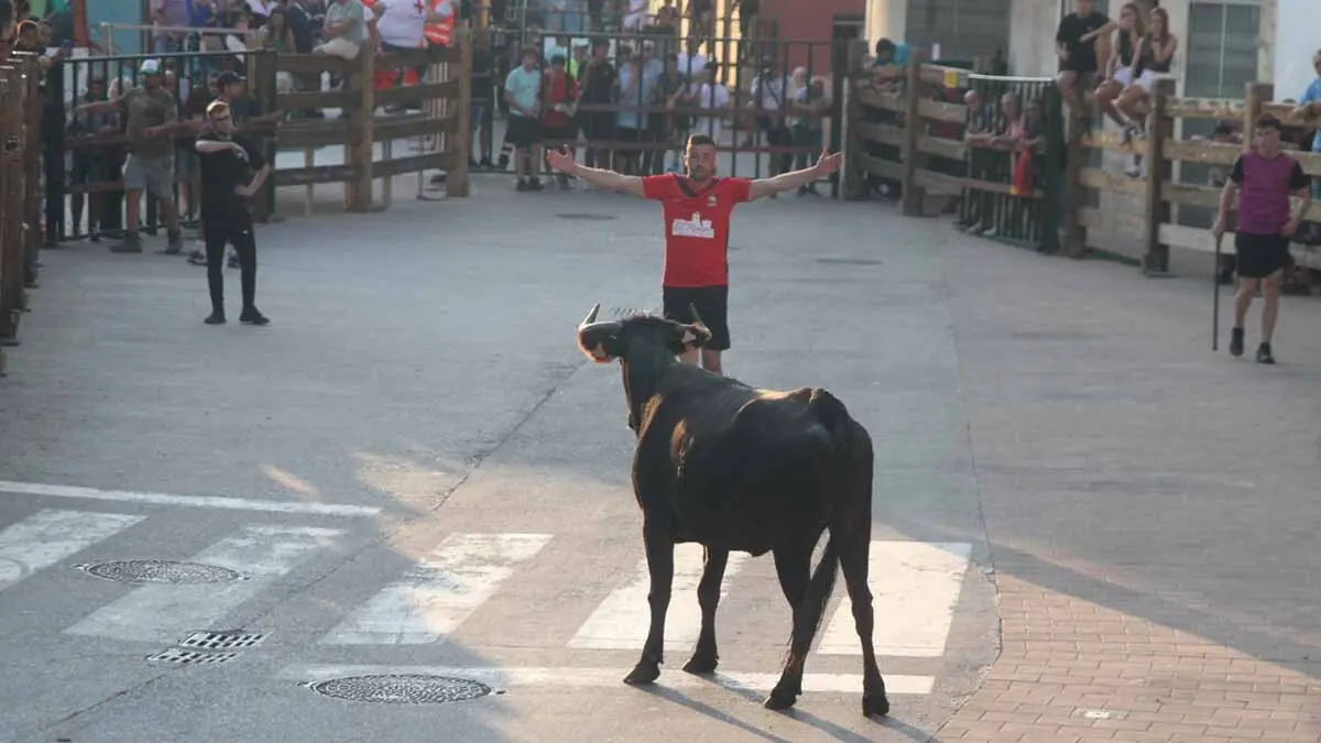 Almuerzo, vacas y toricos simulados en las Juventudes de Cortes 2025 (37)
