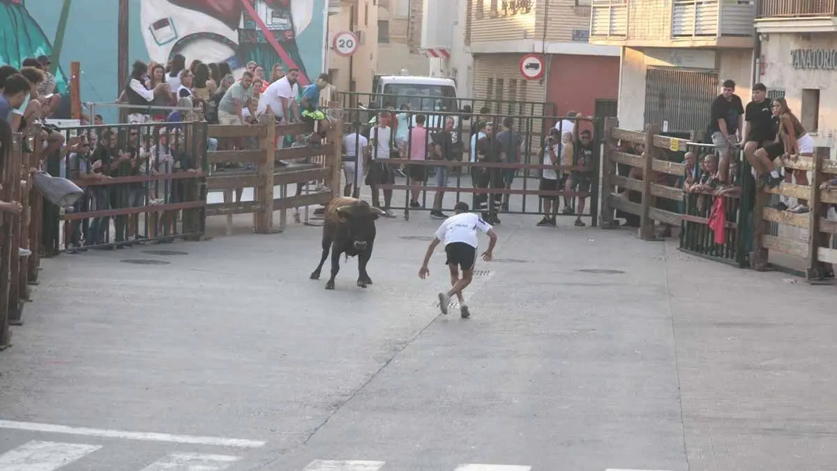 Almuerzo, vacas y toricos simulados en las Juventudes de Cortes 2025 (38)