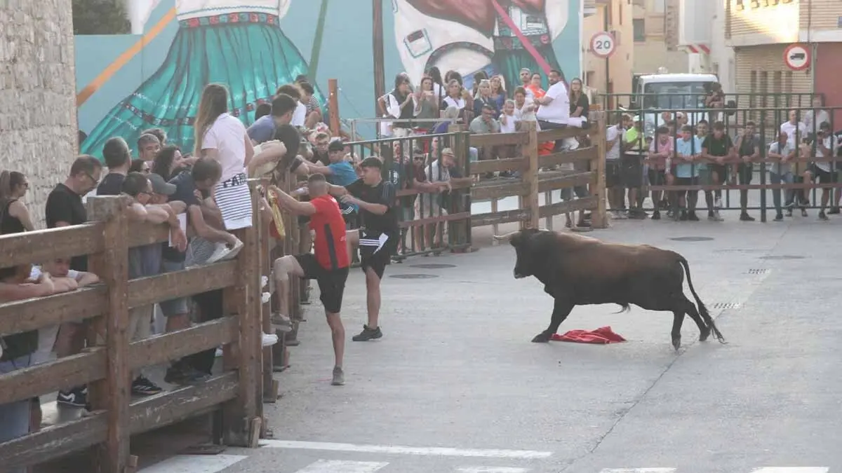 Almuerzo, vacas y toricos simulados en las Juventudes de Cortes 2025 (39)