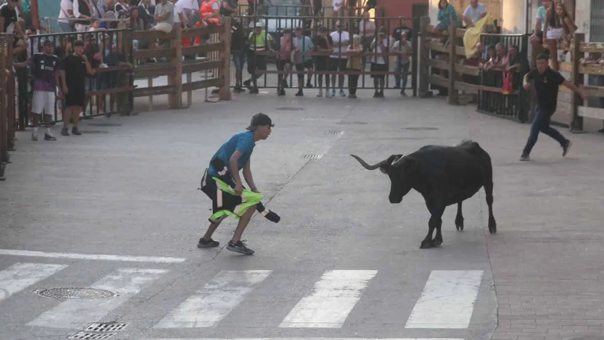 Almuerzo, vacas y toricos simulados en las Juventudes de Cortes 2025 (40)