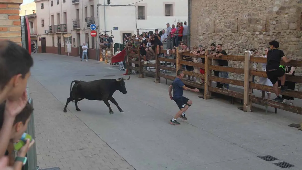 Almuerzo, vacas y toricos simulados en las Juventudes de Cortes 2025 (44)