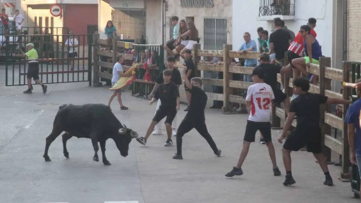 Almuerzo, vacas y toricos simulados en las Juventudes de Cortes 2025 (42)
