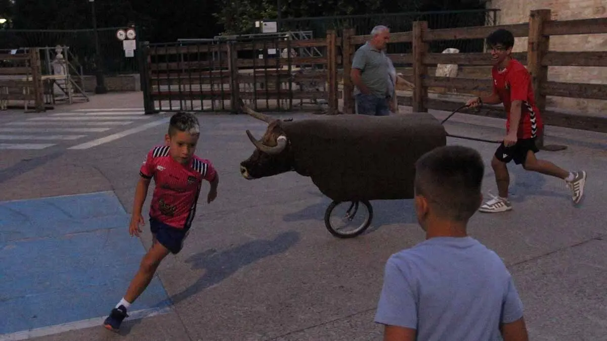 Almuerzo, vacas y toricos simulados en las Juventudes de Cortes 2025 (1)