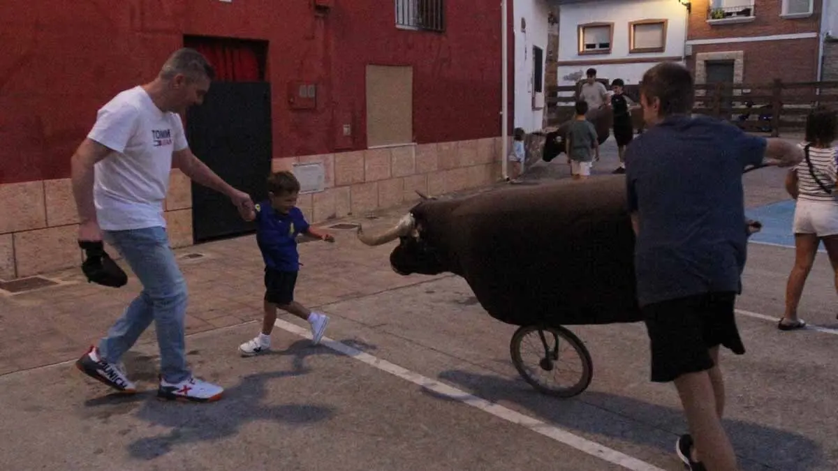 Almuerzo, vacas y toricos simulados en las Juventudes de Cortes 2025 (3)