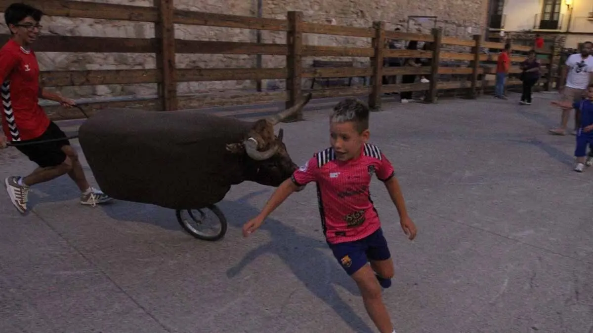 Almuerzo, vacas y toricos simulados en las Juventudes de Cortes 2025 (5)
