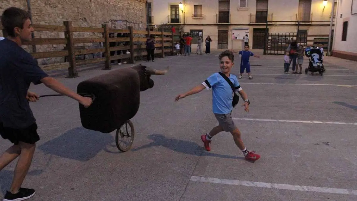 Almuerzo, vacas y toricos simulados en las Juventudes de Cortes 2025 (10)