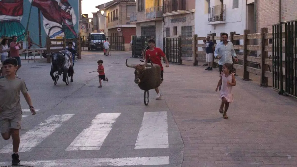 Almuerzo, vacas y toricos simulados en las Juventudes de Cortes 2025 (11)