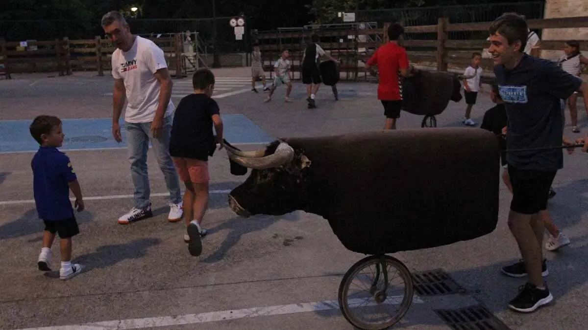 Almuerzo, vacas y toricos simulados en las Juventudes de Cortes 2025 (12)