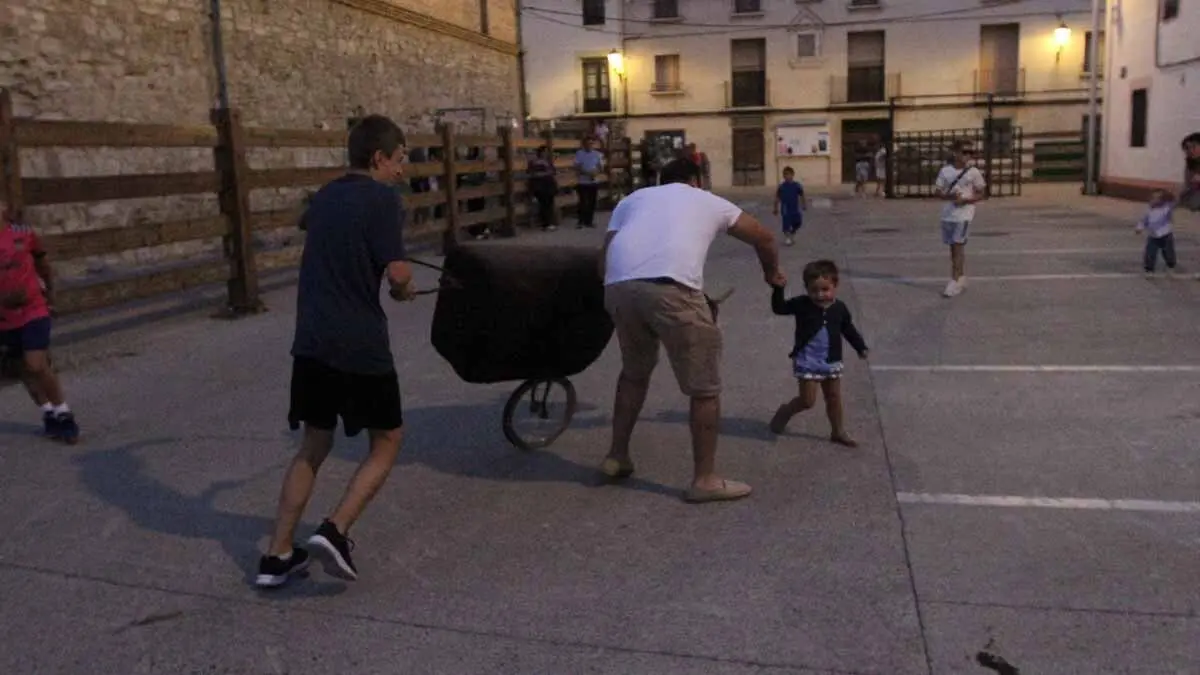 Almuerzo, vacas y toricos simulados en las Juventudes de Cortes 2025 (17)
