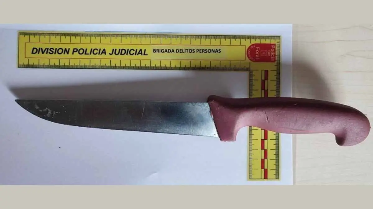 Cuchillo intervenido al detenido en Pamplona por amenazas, lesiones y robo. Foto Policía Foral