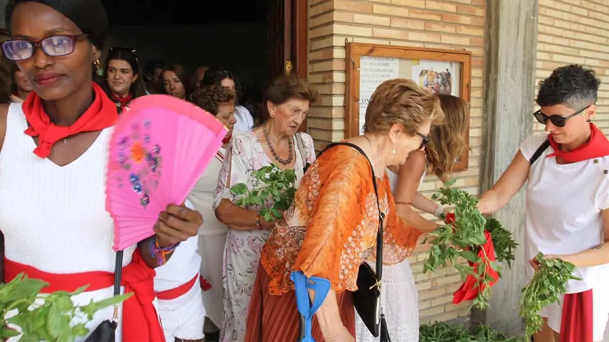 Día de San Roque Fiestas de Cabanillas 2025 (17)