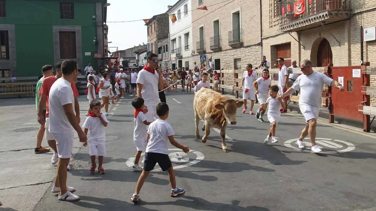 Fotos Fiestas de Buñuel 16-08-2025 (1)