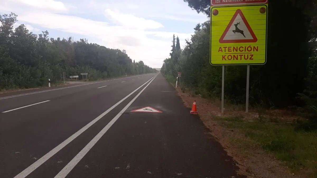 Nueva señalización horizontal y vertical en la carretera NA-134
