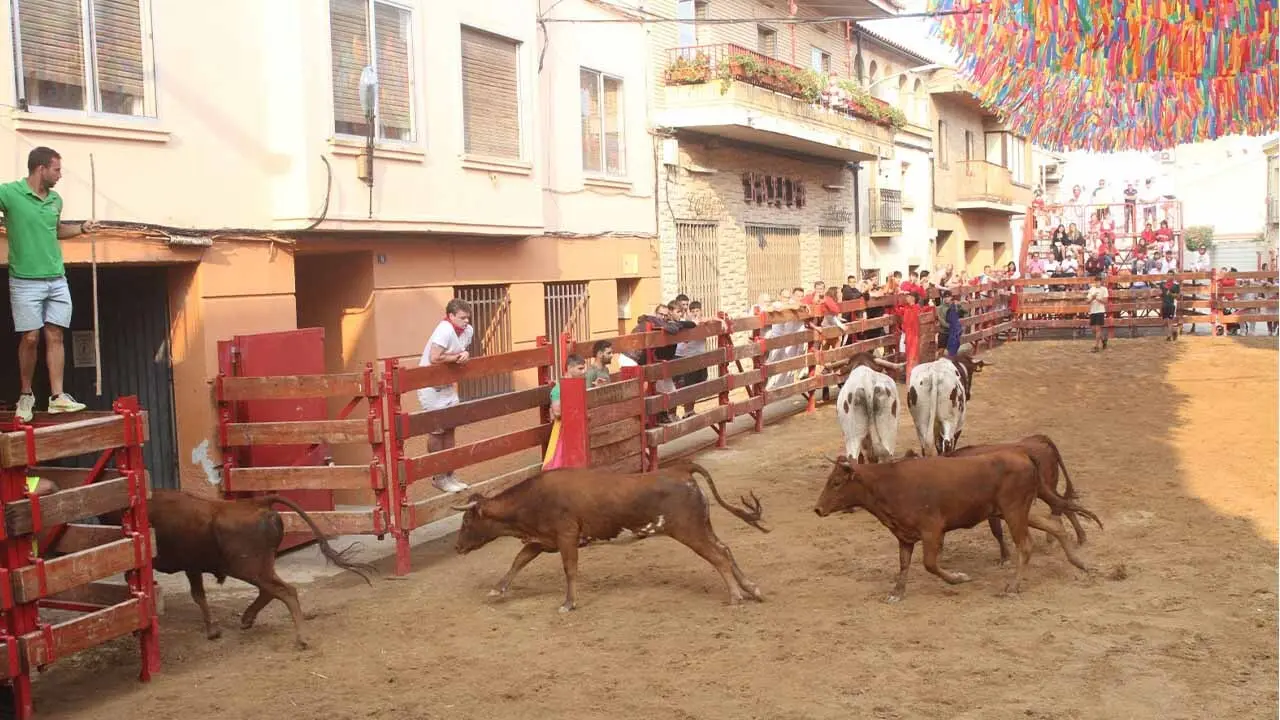 Fotos Fiestas de Cabanillas 20-08-2025 (1)