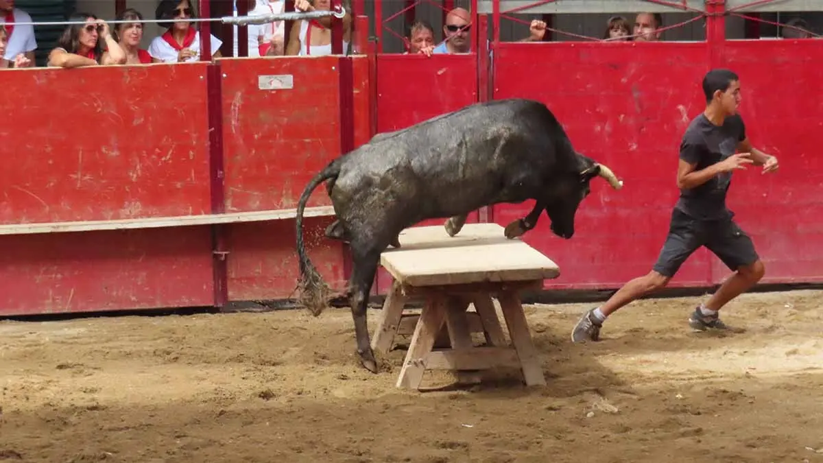 Fiestas de Murchante 2025 (5)