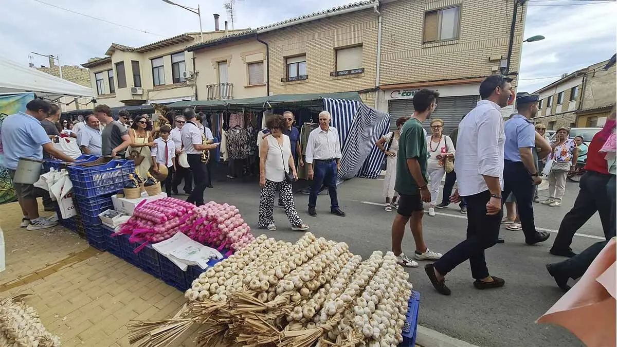 Fotos Día del Tomate de Cadreita 2025 (32)