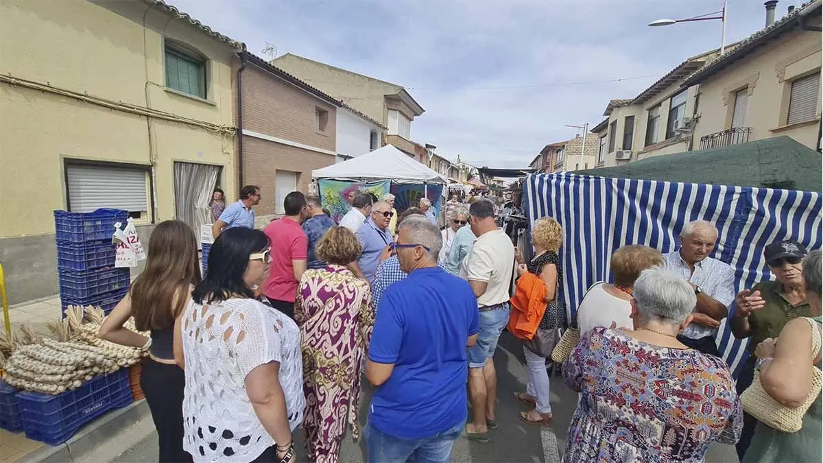 Fotos Día del Tomate de Cadreita 2025 (33)