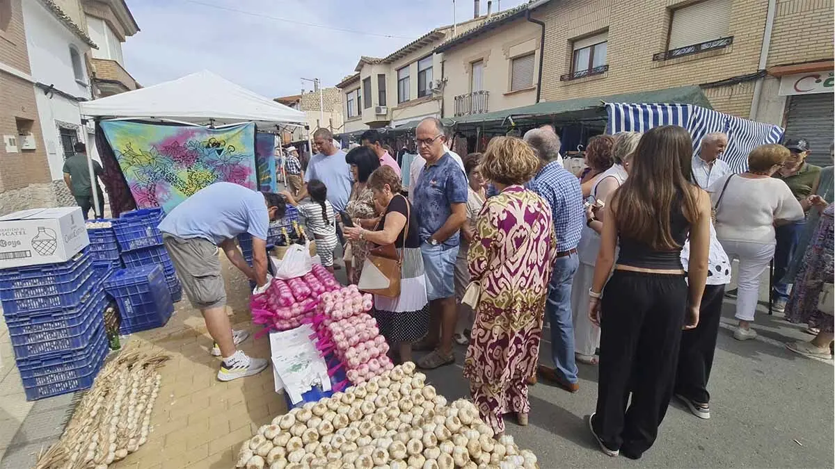Fotos Día del Tomate de Cadreita 2025 (34)